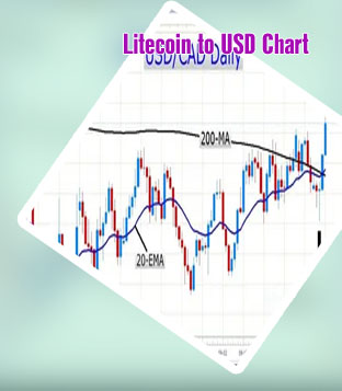 Mbtc to usd converter